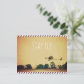 ステイフライ ポストカード (スタンド正面)