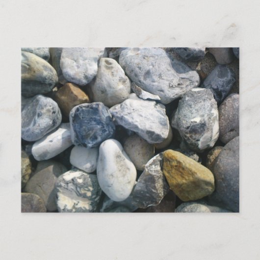 ステイン ポストカード (正面)