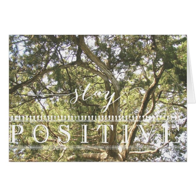 ステイ前向きツリー (正面横)