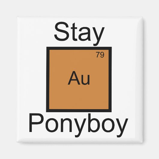 ステイ金ゴールドポニーボーイエレメントプン マグネット (正面)