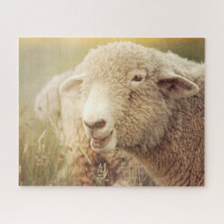 ステウィジグソーパズル ジグソーパズル