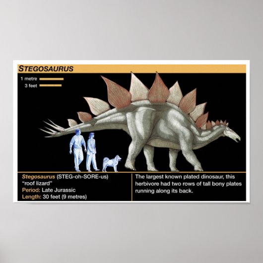 ステゴサウルス - 生物学恐竜のタイムライン ポスター (正面)