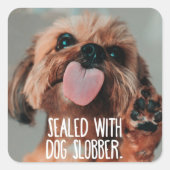 ステッおもしろいク スクエアシール (正面)