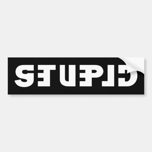 ステッカーに愚か、鏡で賢い バンパーステッカー (正面)