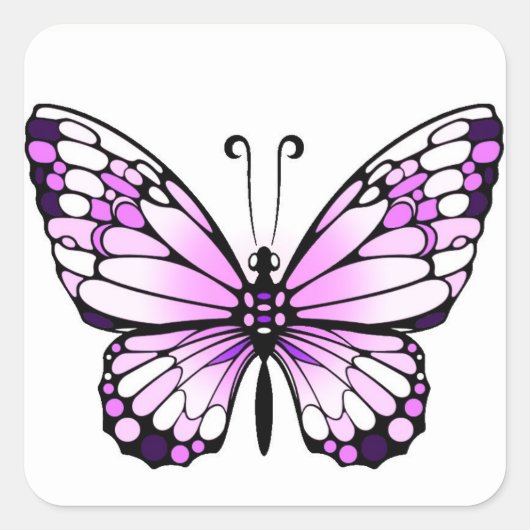 ステッカーの蝶 スクエアシール (正面)
