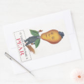 ステッカーアンティーク二宝形果実ナシ男プン 長方形シール (封筒)