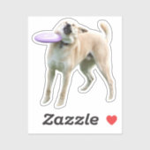 ステッカーフリスビー犬Meme シール (シート)