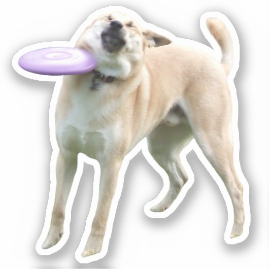 ステッカーフリスビー犬Meme シール (正面)