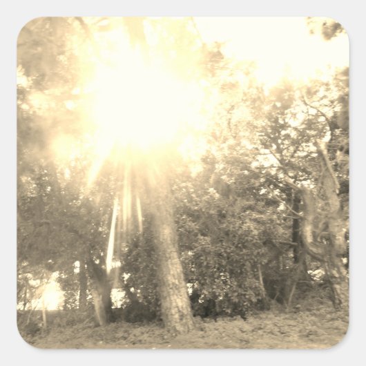 ステッカーラベルアート&デザインスタイル スクエアシール (正面)