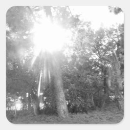 ステッカーラベルアート&デザインスタイル スクエアシール