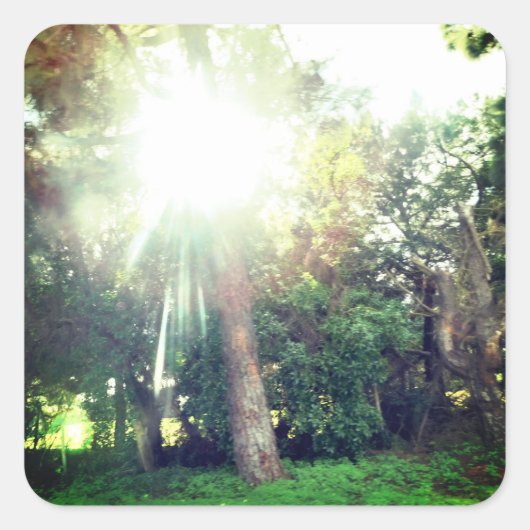 ステッカーラベルアート&デザインスタイル スクエアシール (正面)