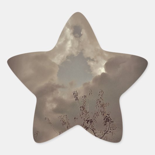 ステッカーラベルアート&デザインスタイル 星シール (正面)