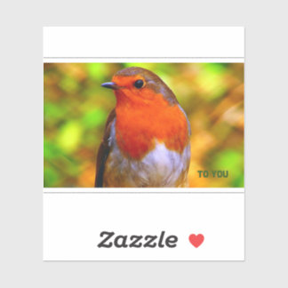 ステッカー封筒用シールロビンのメッセージ シール