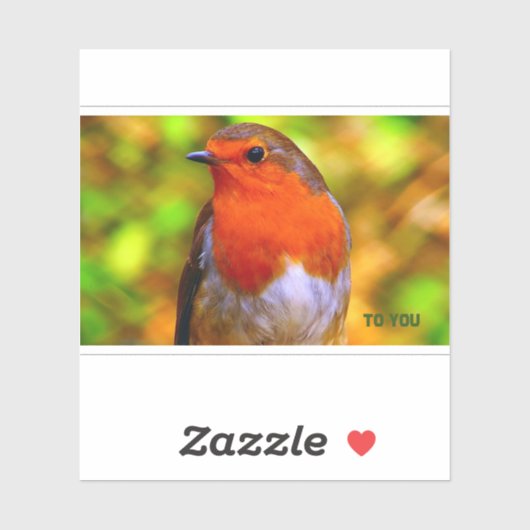 ステッカー封筒用シールロビンのメッセージ シール (シート)