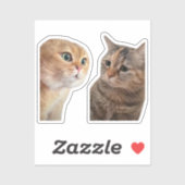 ステッカー猫ミーム シール (シート)