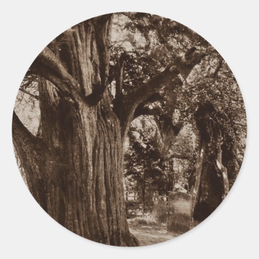 ステッカー系図学教会ヤードオールドユーツリーストーンズ ラウンドシール (正面)