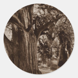 ステッカー系図学教会ヤードオールドユーツリーストーンズ ラウンドシール