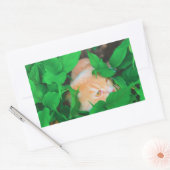 ステッカー (封筒)