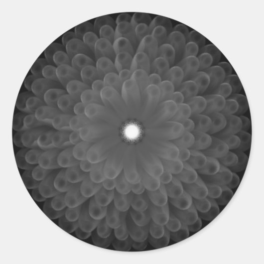 ステッカー (正面)