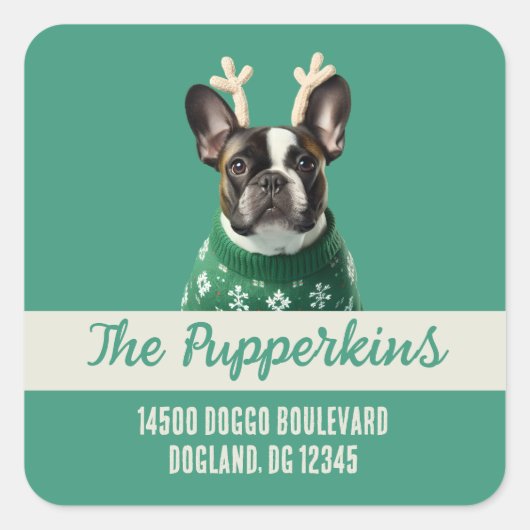 ステッカー (正面)