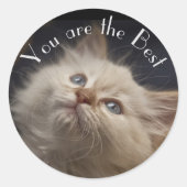 ステッカー (正面)