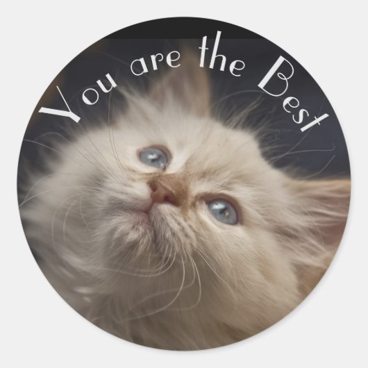 ステッカー (正面)