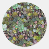 ステッカー (正面)