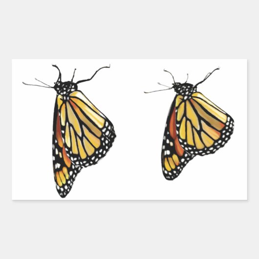 ステッカー2のぶら下がった(昆虫)オオカバマダラ、モナーク 長方形シール (正面)