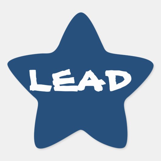 ステッカー20 – パック:リードジャマースター 星シール (正面)