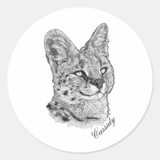 ステッカー – カシディ (正面)