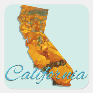 ステッカー – カリフォルニア
