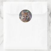 ステッカー・クーガー・キューブ10x10 ラウンドシール (バッグ)