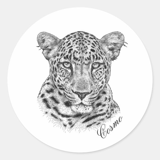 ステッカー – コスモ (正面)