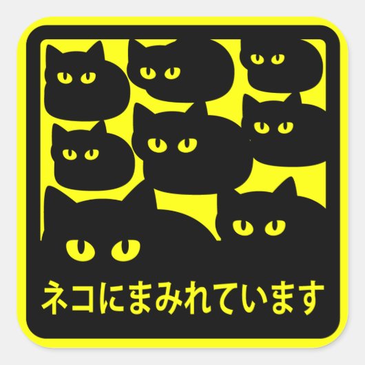 ステッカー　「ネコにまみれています」イエロー スクエアシール (正面)