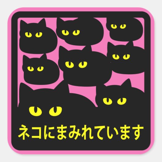 ステッカー 「ネコにまみれています」ピンク スクエアシール (正面)