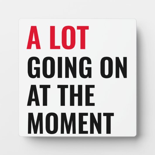 ステッカー フォトプラーク (正面)