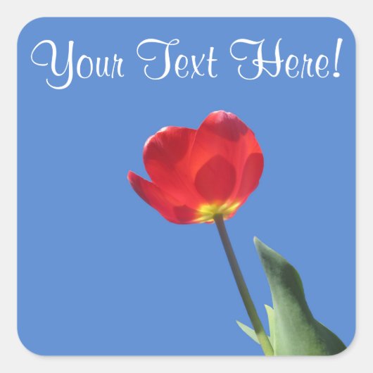 ステッカー – レッドチューリップブルースカイ2 (正面)