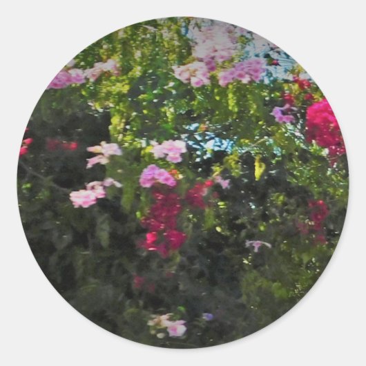 ステッカー ロール (正面)