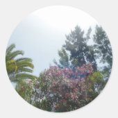 ステッカー ロール (正面)