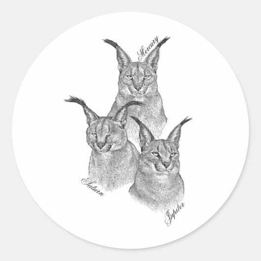 ステッカー – 惑星 (正面)