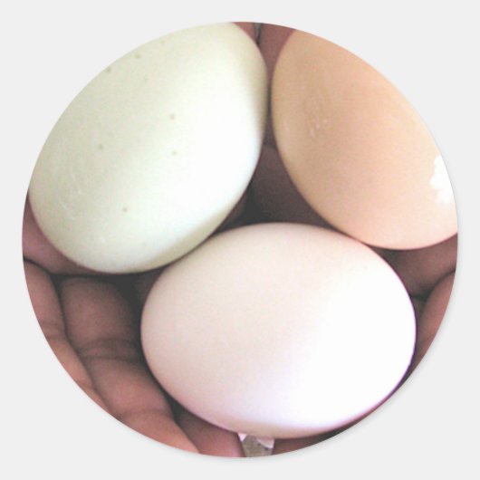 ステッカー、手に入れ子になった卵、フォトアート ラウンドシール (正面)