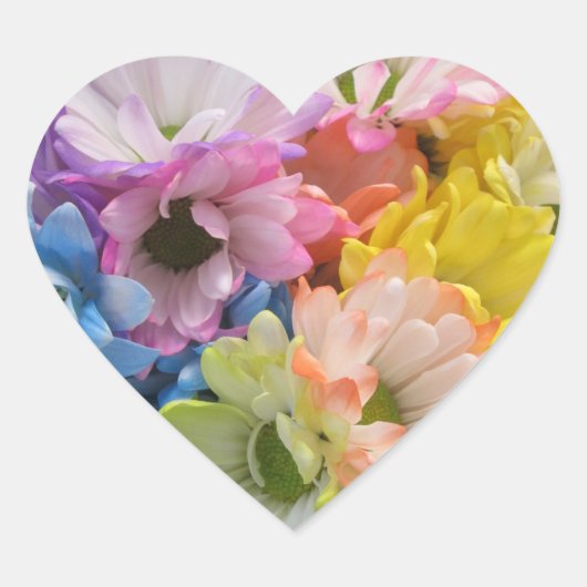 ステッカー – -数々のカラーデイジーII (正面)