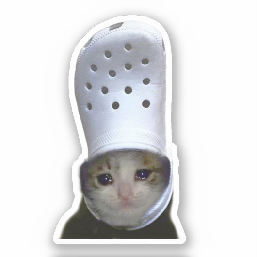 ステッカー 涙目猫 クロックス帽子 ミーム シール (正面)