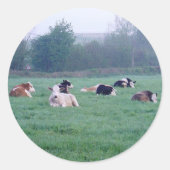 ステッカー – 牛 – 色 (正面)