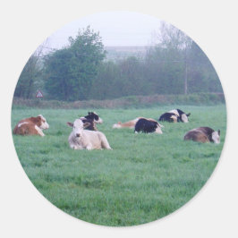 ステッカー – 牛 – 色