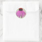 ステッカー – 紫色のベニバナ – Echinacea (バッグ)