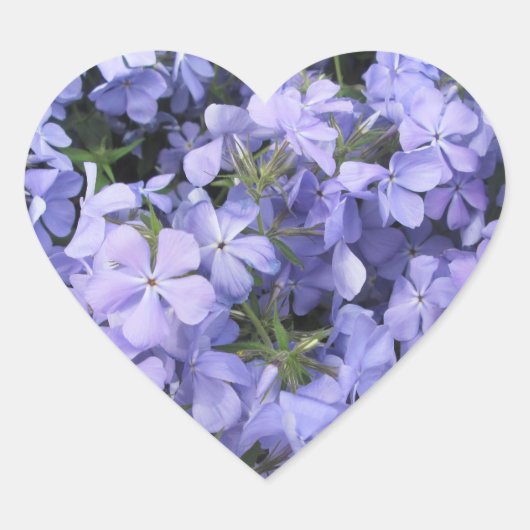 ステッカー – Blue Phlox I (正面)