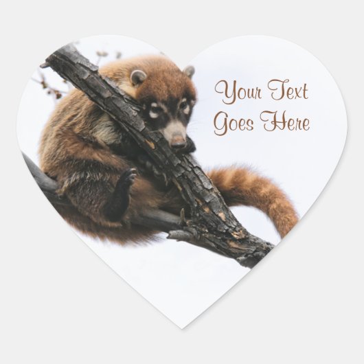 ステッカー： Coatimundi #5 (ハート) ハートシール (正面)