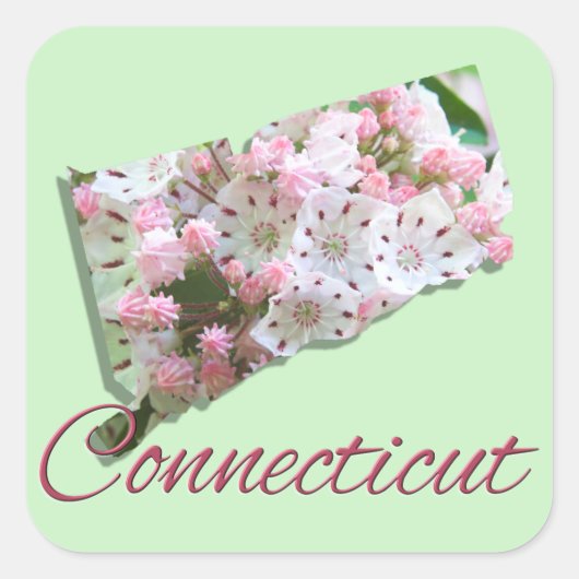 ステッカー – CONNECTICUT (正面)