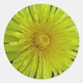 ステッカー – Dandelion